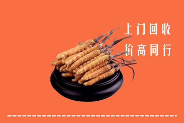 高价求购：夏津县回收散虫草